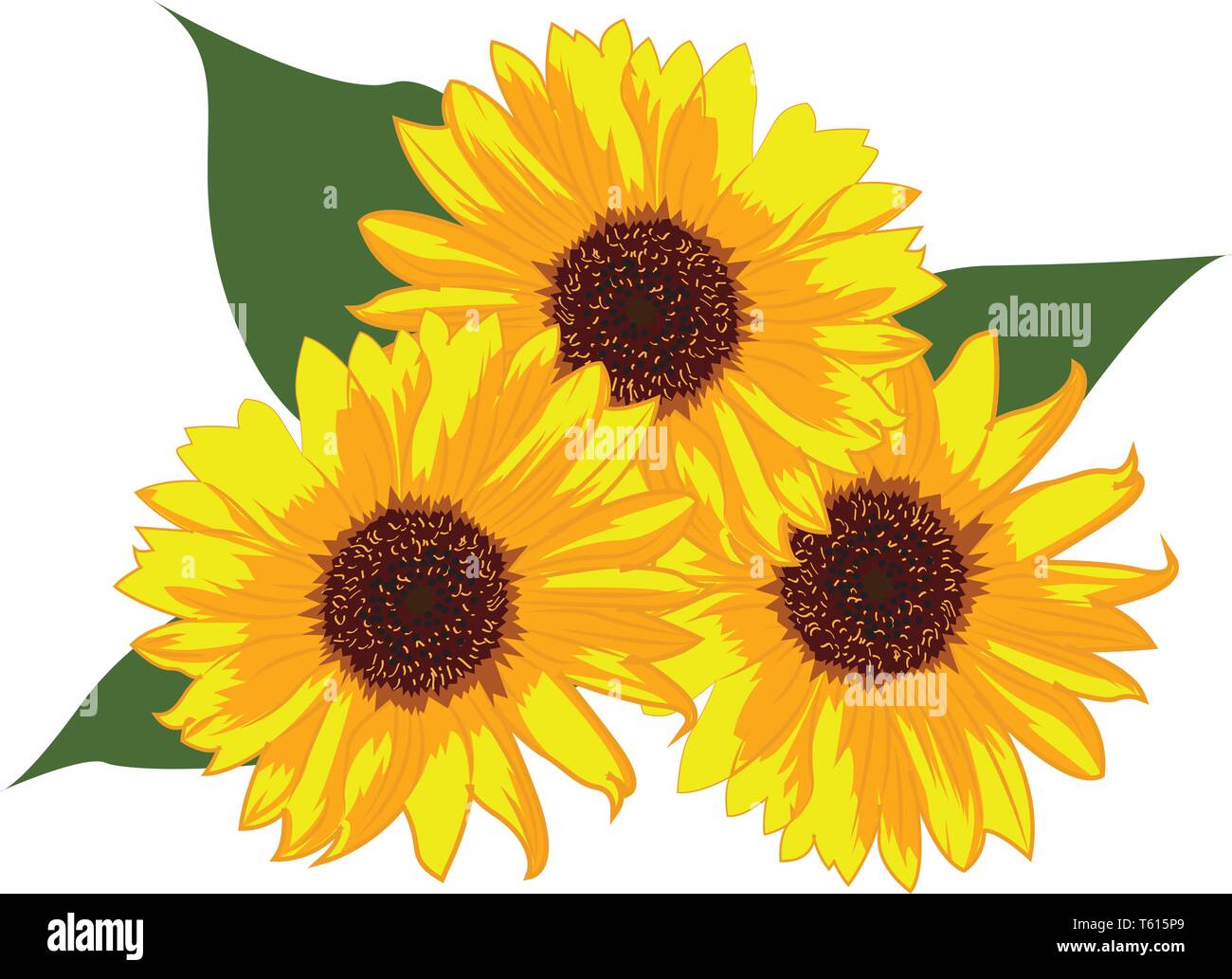 Sunflowers vector illustration on a white background isolated Stock Vector