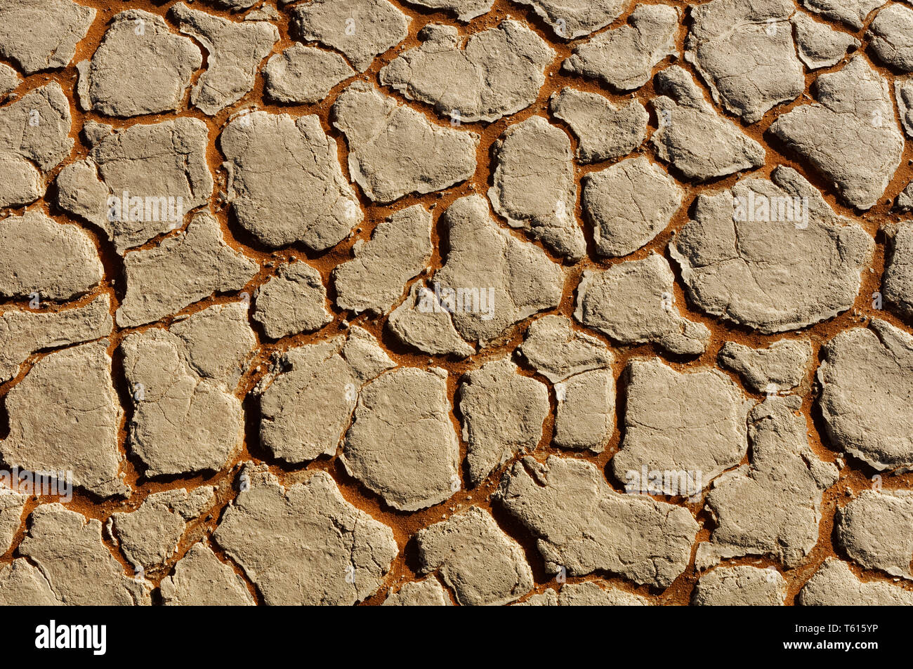 Dried out soil in Deadvlei in Namib-Naukluft-Park, Namib Desert, Maltahöhe District, Hardap Region, Namibia Stock Photo