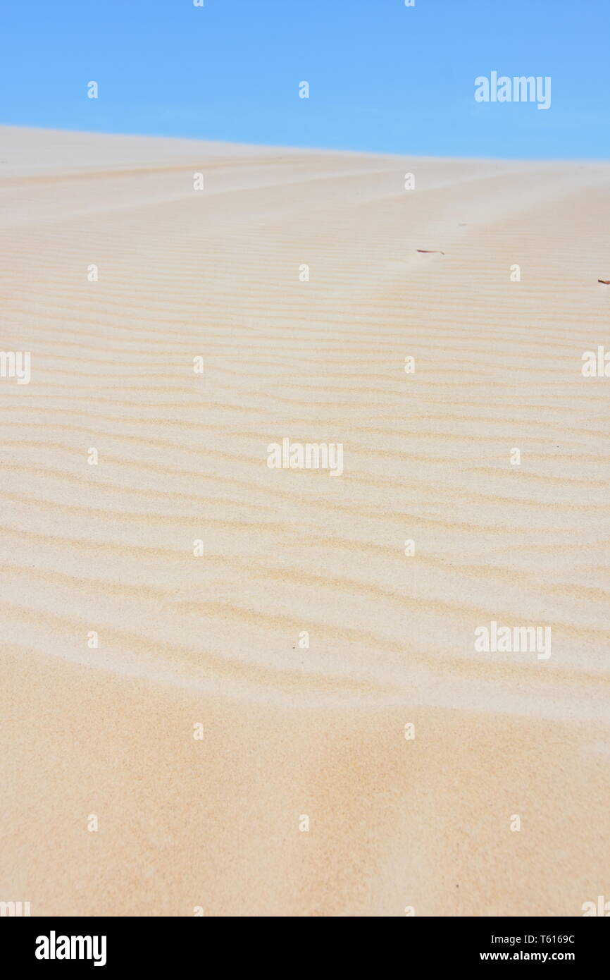 Desert sand with ripples and blue sky Stock Photo - Alamy