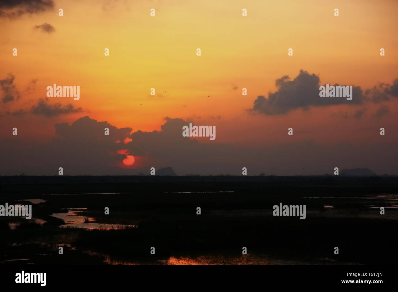 wetland with sunset sky background Stock Photo - Alamy