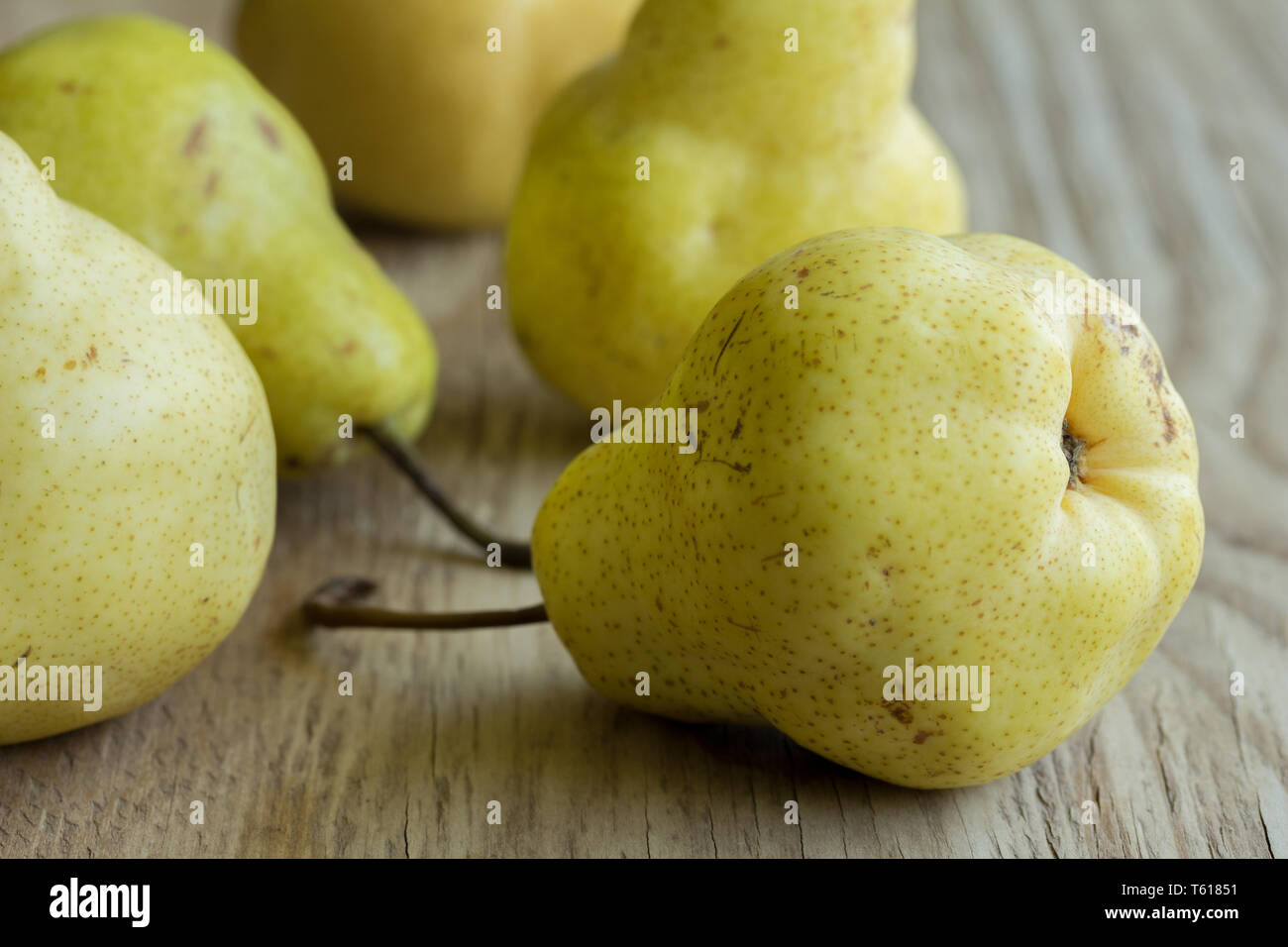 Bosque pears in group on rustic wooden background with selective focus