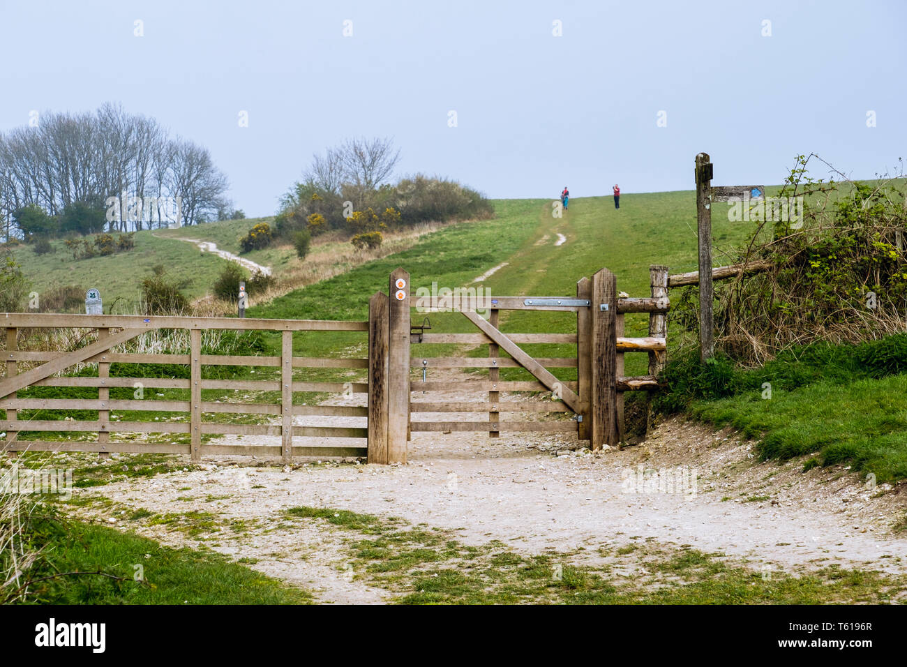 Gate on footpath to Harting Down in South Downs National Park. South Harting, West Sussex, England, UK, Britain Stock Photo