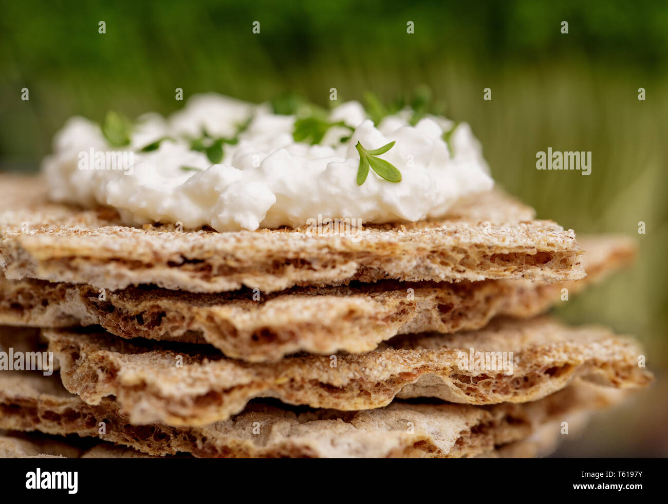 Crispbread with Cottage Cheese and Garden Cress Stock Photo