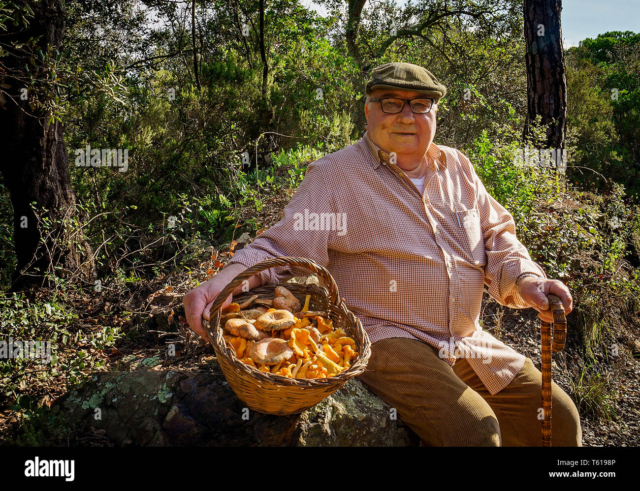 Bolataire,  mushroom-pickers, Pineda de Mar. Catalunya. Spain Stock Photo