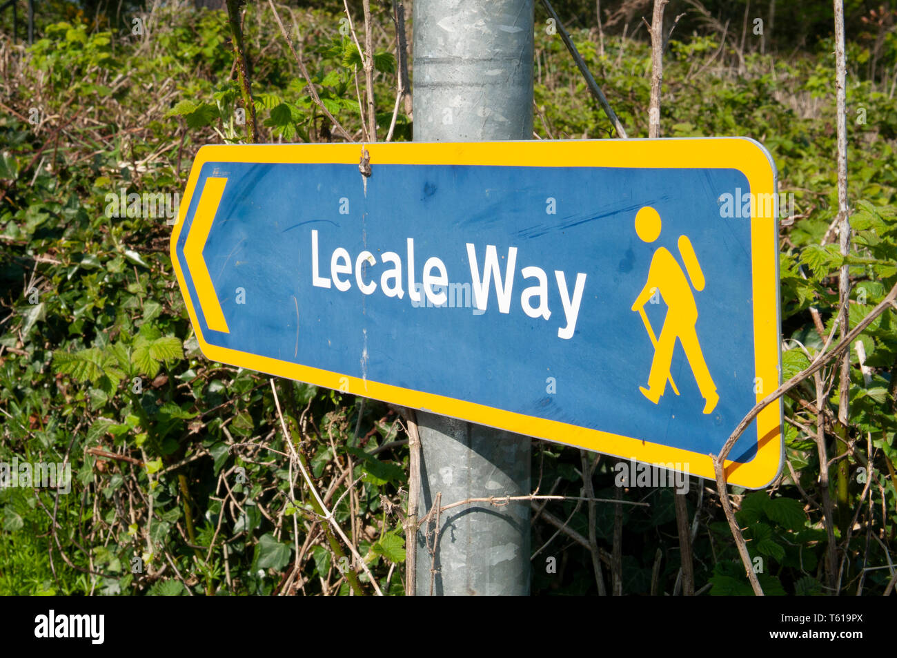 Sign for the Lecale Way, a 40 mile walking and cycling route around County Down, retracing the route of Saint Patrick. Stock Photo