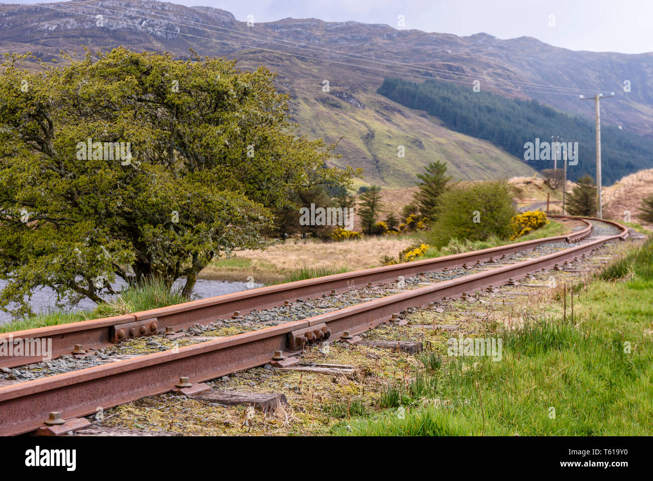 Donegal Railway Company narrow gauge railway , Donegal, Ireland Stock