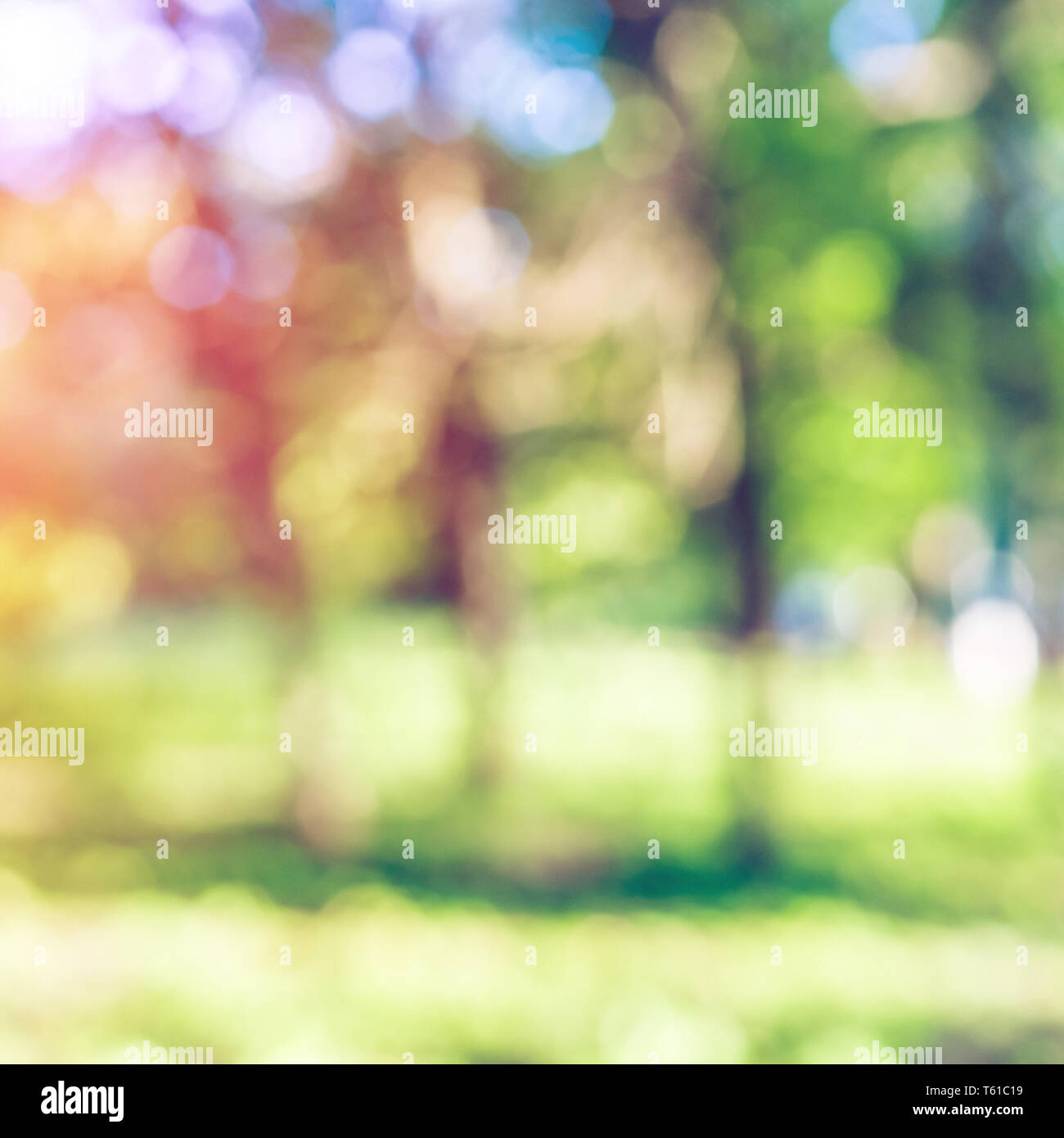 Green park blur bokeh Stock Photo - Alamy