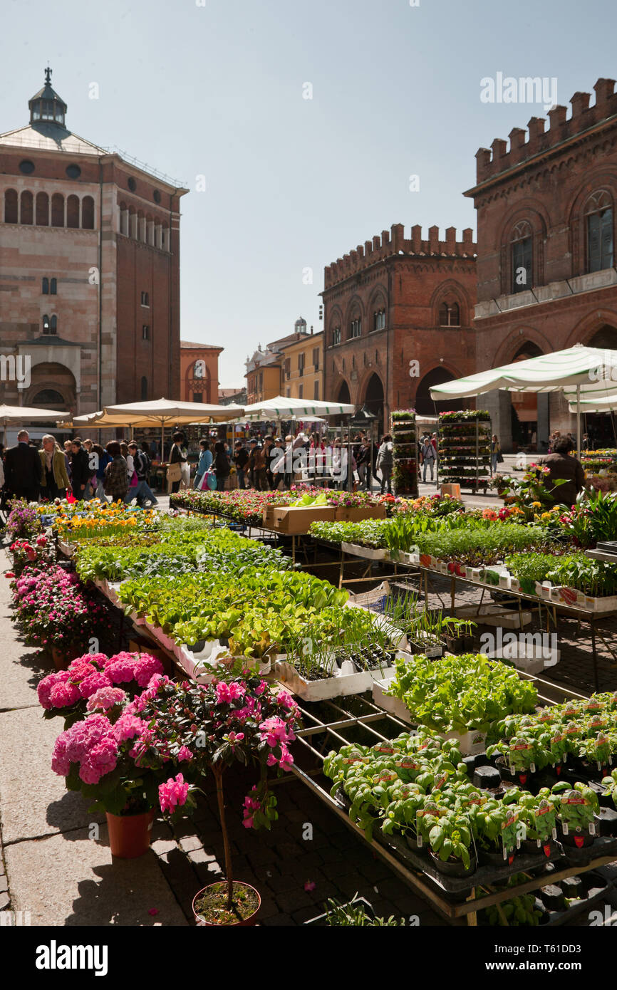 Cremona: veduta della Piazza del Comune  e del Battistero nel giorno di mercato.   [ENG]  Cremona: view of Piazza del Comune and the Baptistery in the Stock Photo