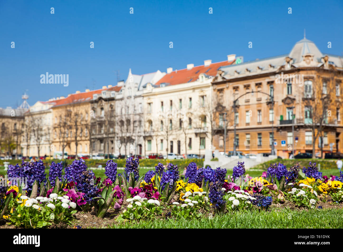 Early Spring Flowers And Beautiful Antique Architecture At Lower Town early-spring-flowers-and-beautiful-antique-architecture-at-lower-town