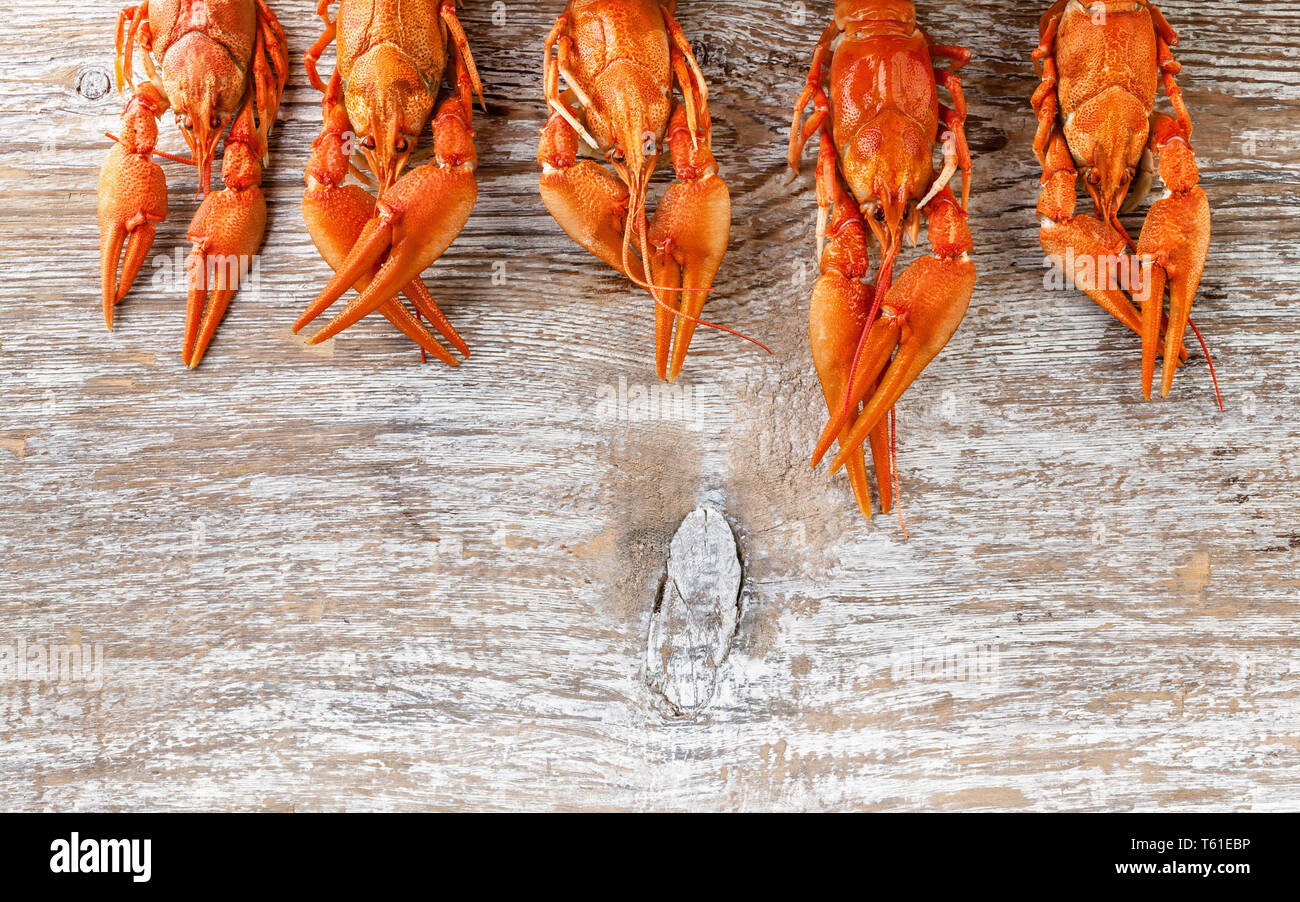 Food banner. Delicious boiled crawfish on wood background. Copy space Stock Photo
