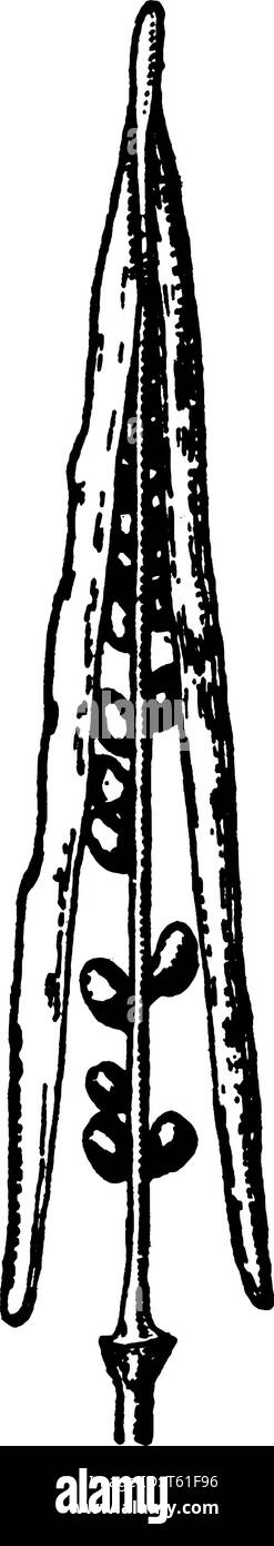 Weak roots hi-res stock photography and images - Alamy