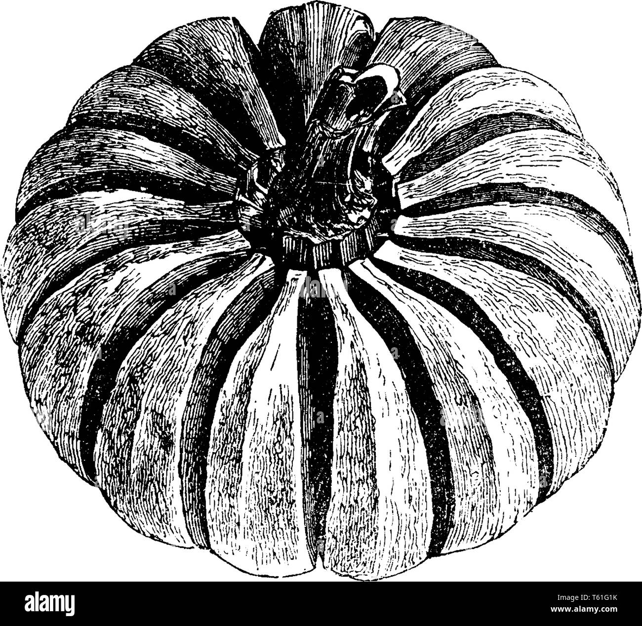 Explosive capsule fruit hires stock photography and images Alamy