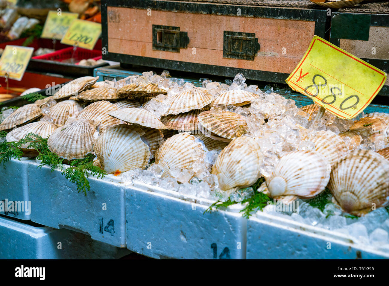 fresh shellfish at fish market, Japan. Stock Photo