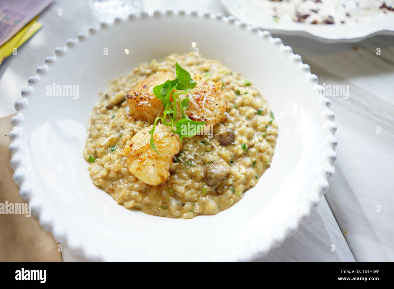 Scallop mush in white disk and ready to serve. Stock Photo
