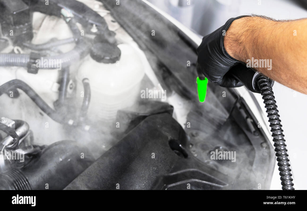 Car detailing. Washing and cleaning engine. Cleaning car engine using