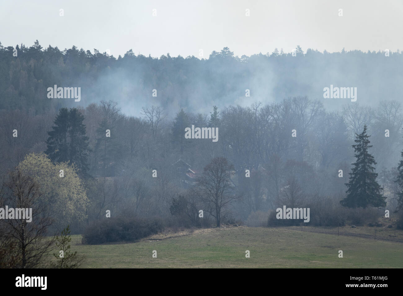 Forest wild fire, nature disaster. April 2019 in Sweden. Stock Photo