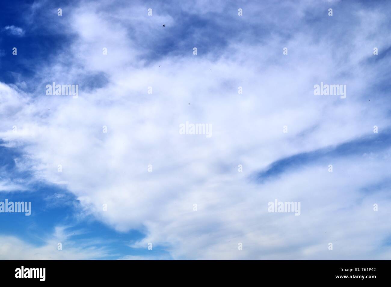 Beautiful fluffy white clouds covered in sunlight on a deep blue sky ...