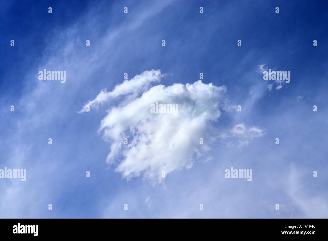 Beautiful fluffy white clouds covered in sunlight on a deep blue sky ...