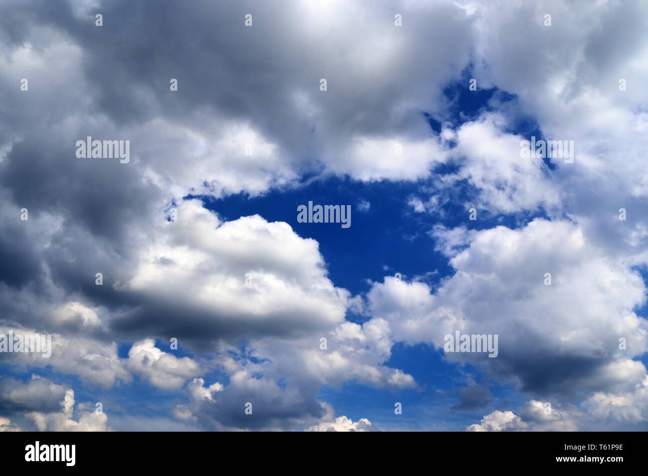Beautiful fluffy white clouds covered in sunlight on a deep blue sky ...
