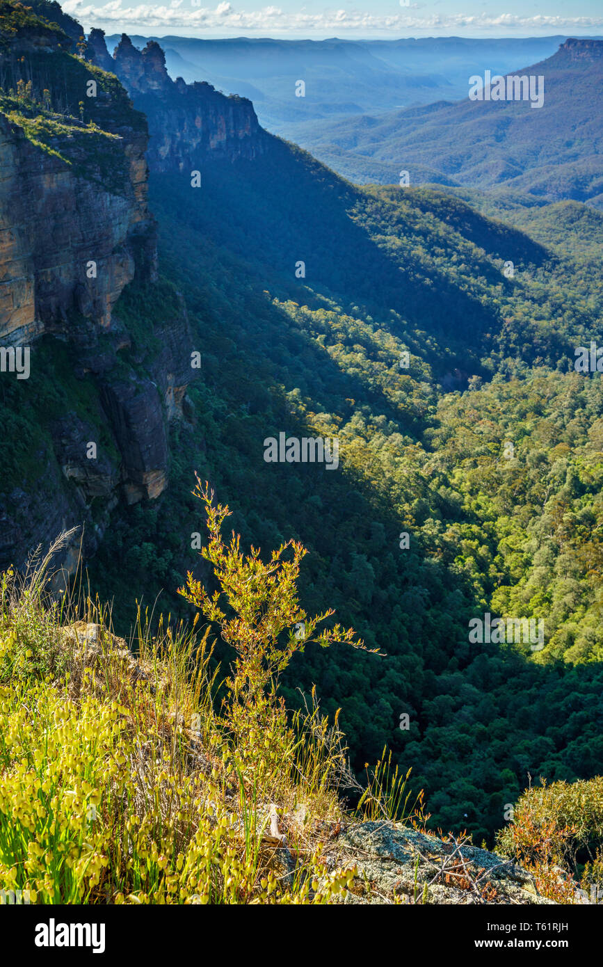 lookout, blue mountains national park, katoomba, new south wales