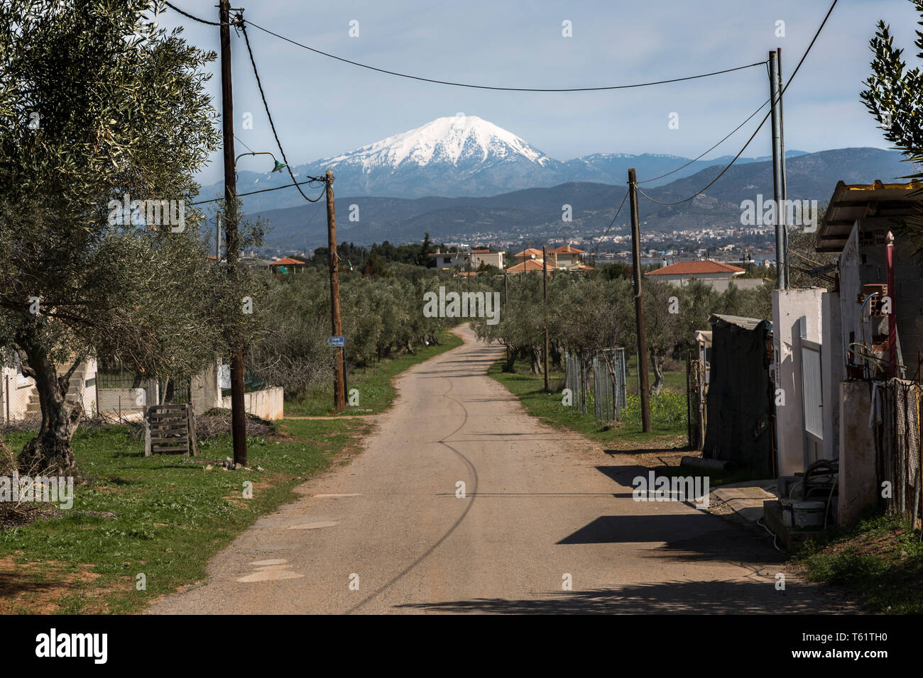 Near Avlida village,a  country road winds its way through farmland in the direction of Mount Olympus whose snow-capped peak shows over the horizon. Stock Photo
