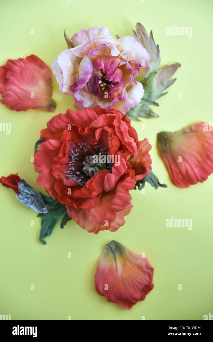 peonies with poppy seeds on a yellow background Stock Photo - Alamy