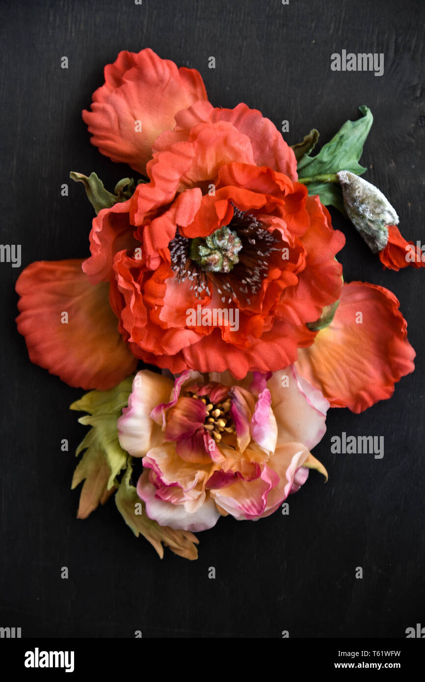 Peonies seeds hi-res stock photography and images - Alamy