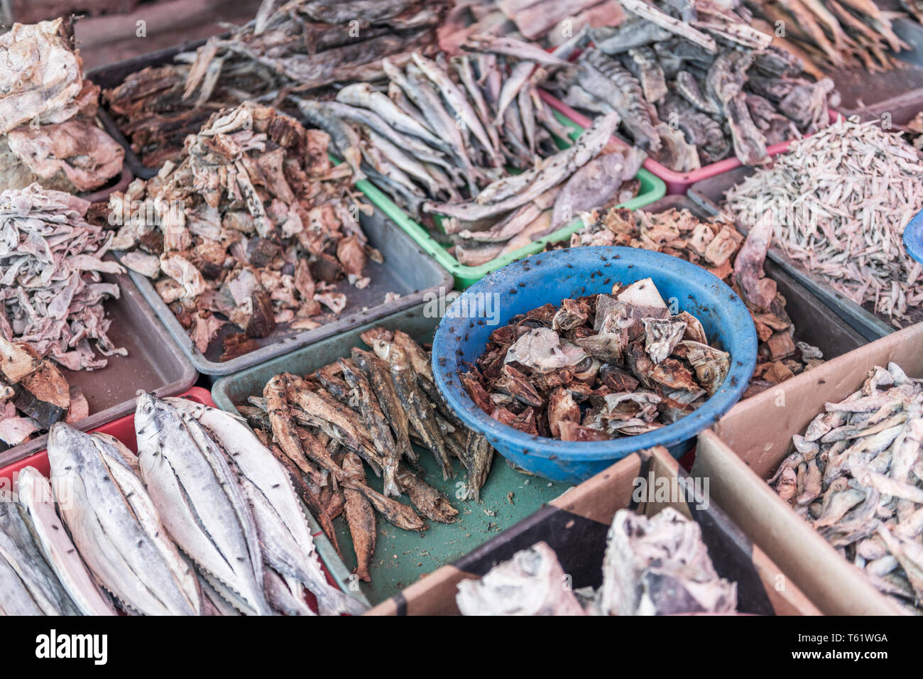 A display of different varieties of dried fish in the midday sun, covered in flies, at the Negombo Fish Market in Sri Lanka. Stock Photo