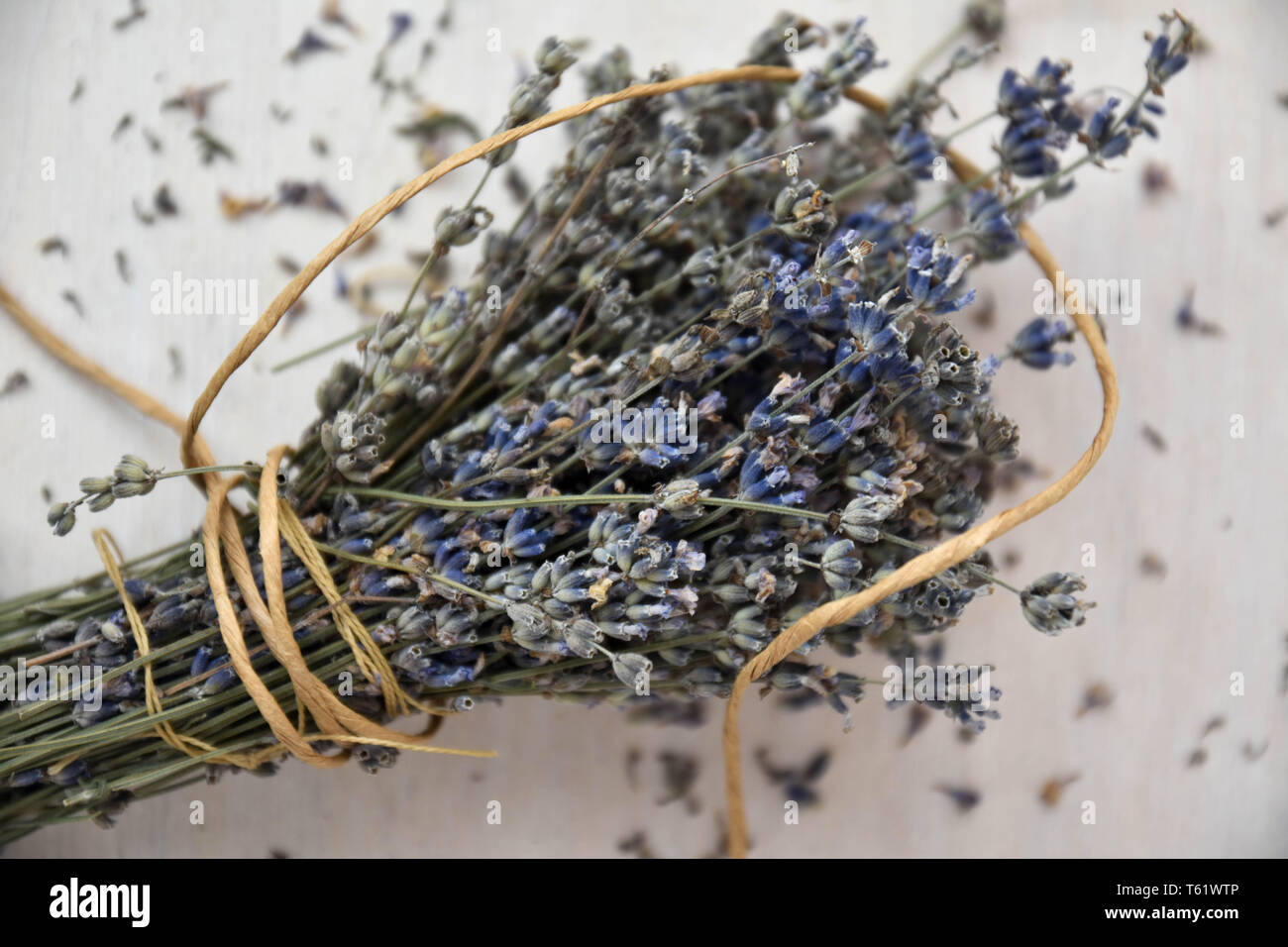 Dried lavender on wooden table. Traditional lavender flower drying Stock Photo Alamy