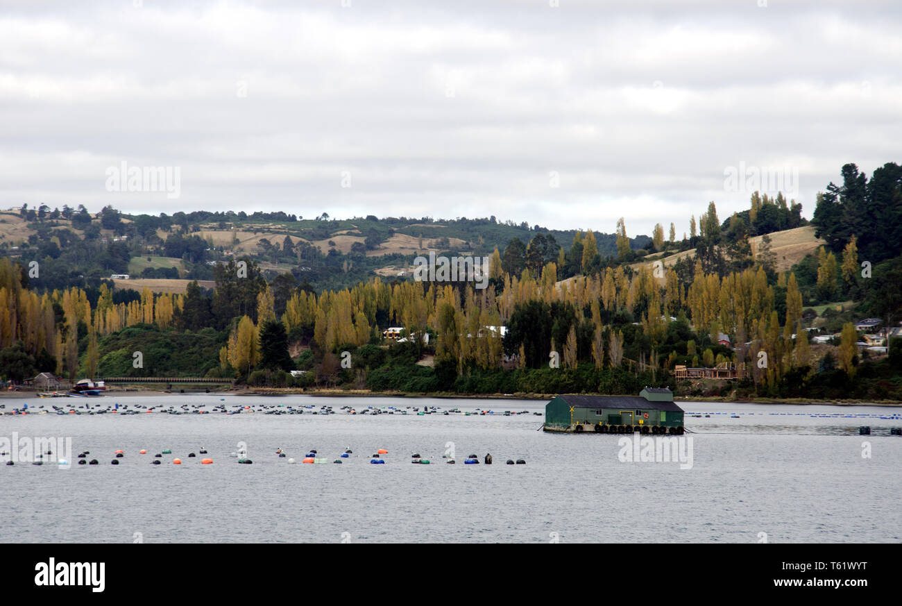 Fish farming for salmon and other fish is widespread in the waters surrounding Chile's Chiloé island Stock Photo