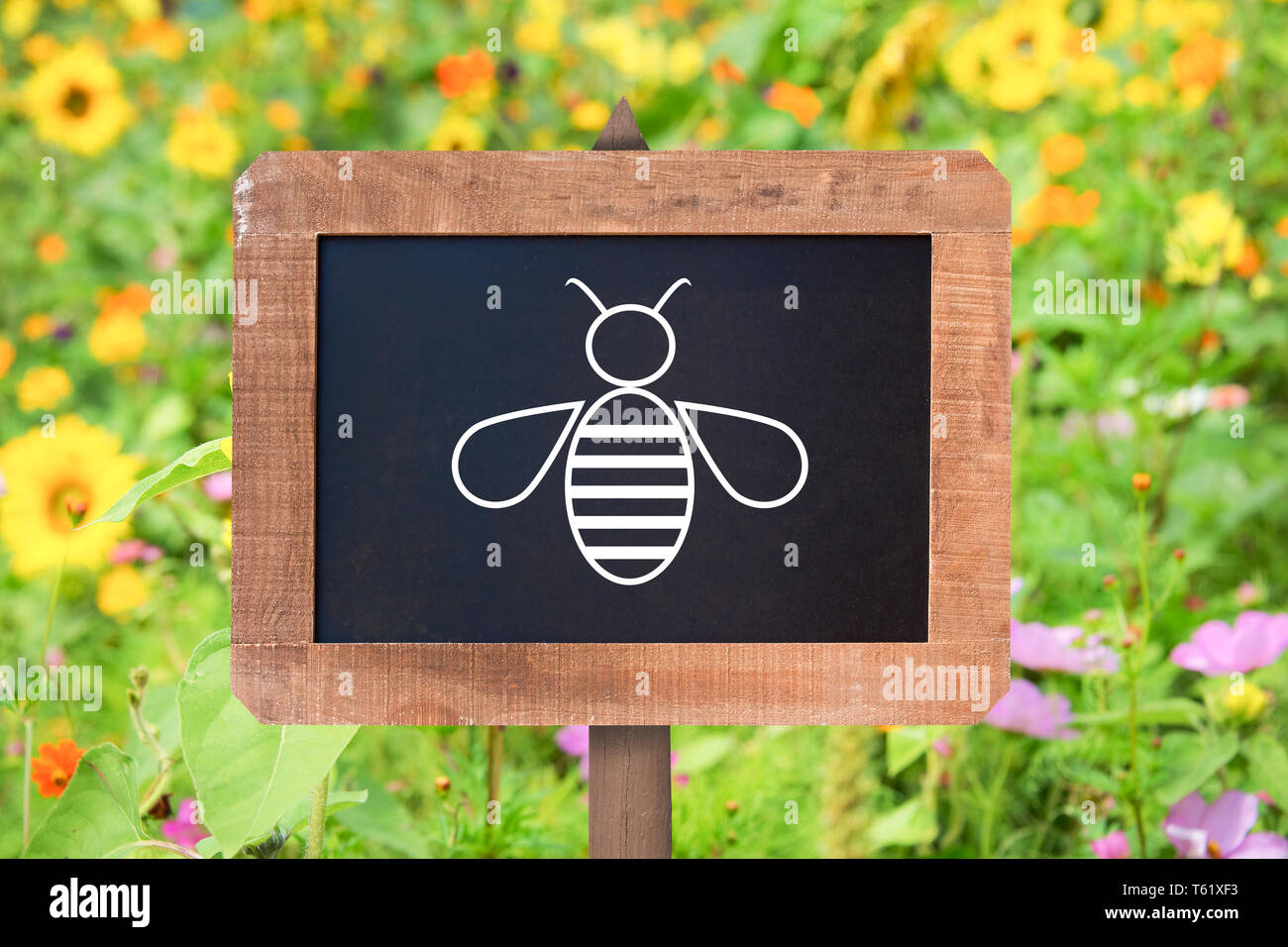 Bee icon on a wooden sign, wild flowers background. Bee conservation zone insecticide-free concept Stock Photo