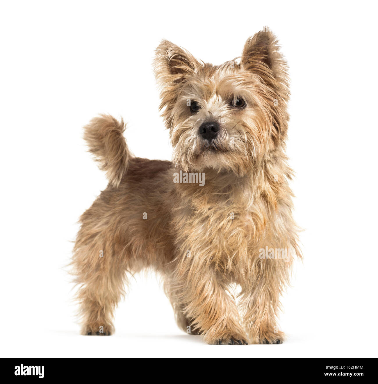 Photography of norwich Cut Out Stock Images & Pictures Alamy