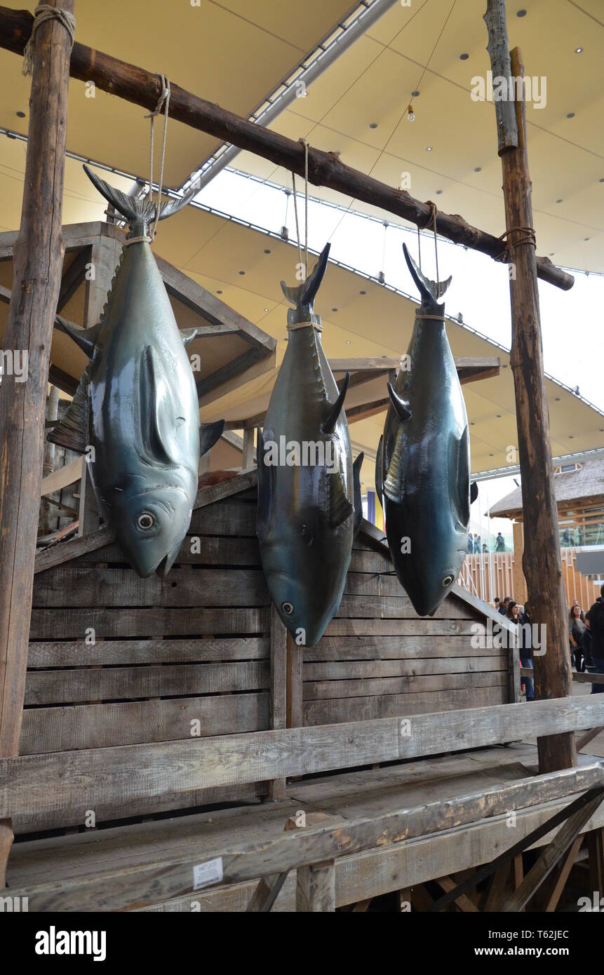 Milano world expo sustainable architecture hi-res stock photography and