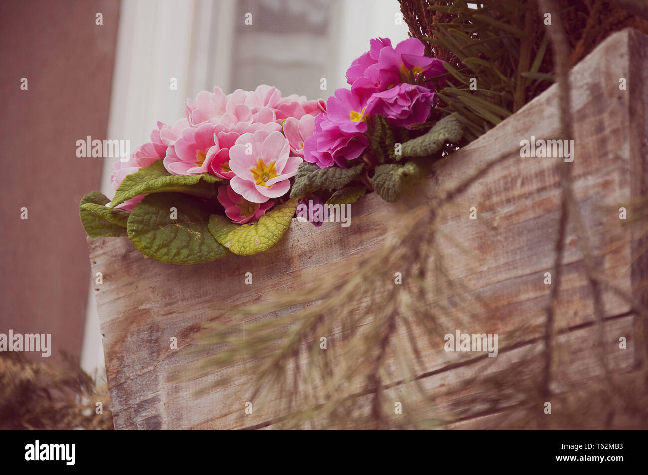 Flower Tub High Resolution Stock Photography And Images Alamy Flower Tub High Resolution Stock Photography And Images Alamy