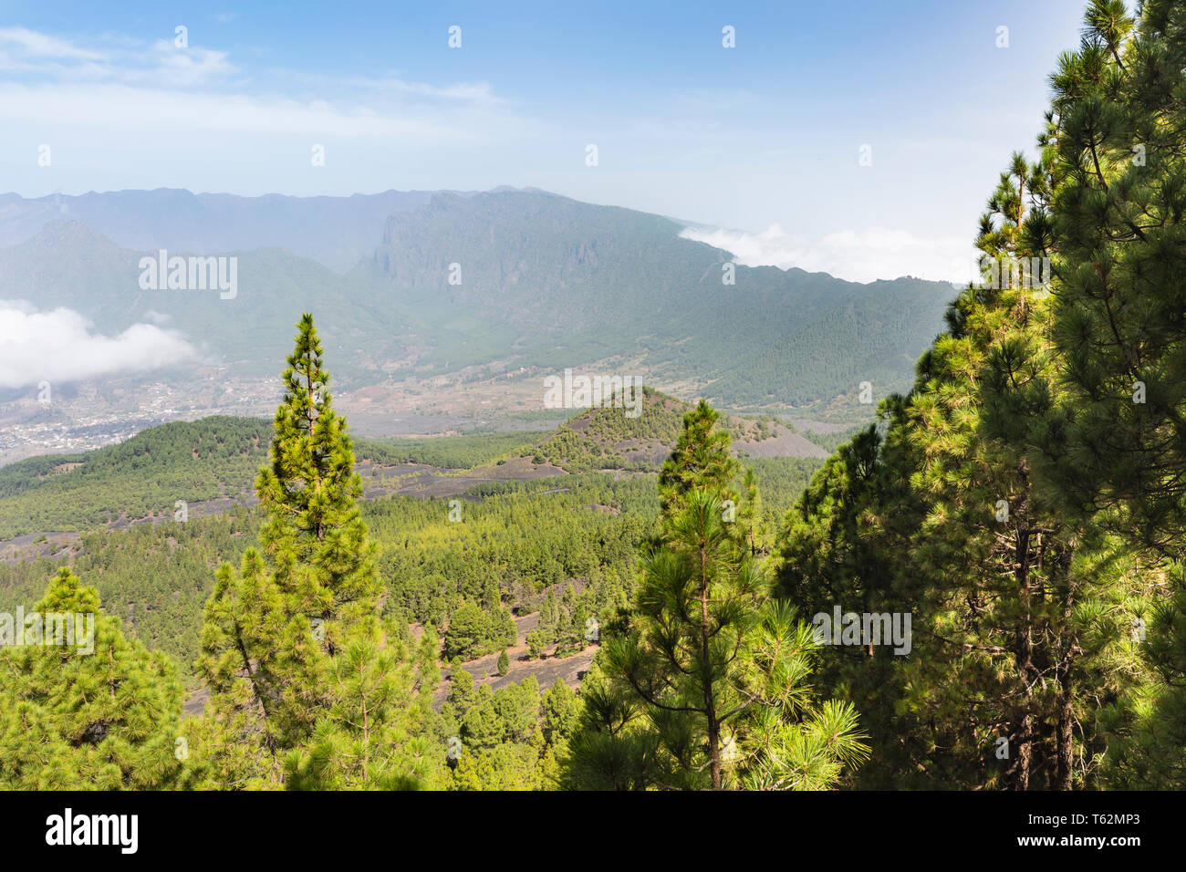 View over the pine forest of the Cumbre Vieja down to the El Paso valley and Cumbre Nueva in La Palma, Spain. Stock Photo