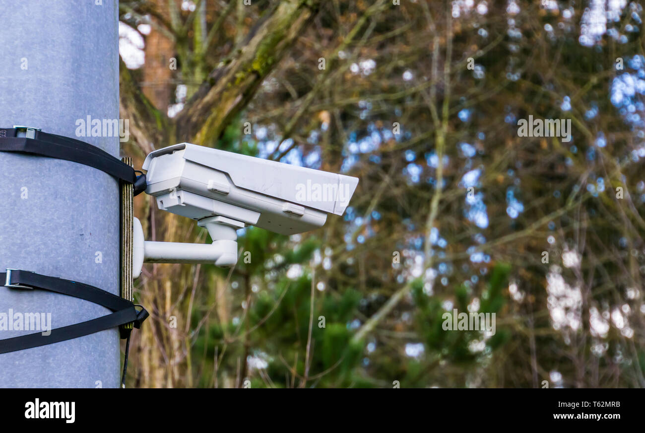 modern surveillance camera mounted on a simple way with bands, security in nature and parks