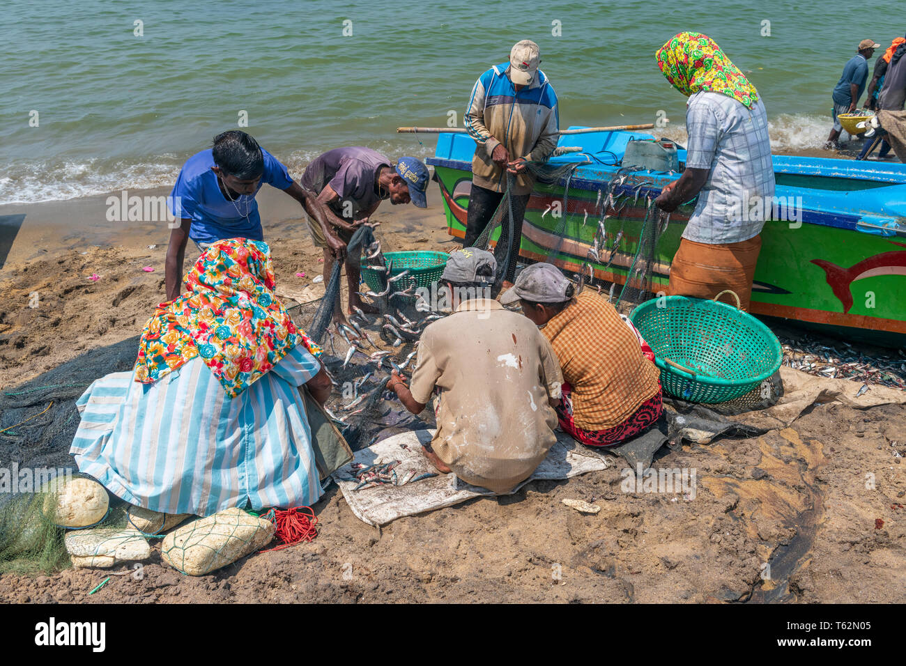 Negombo fishermen remove small silver fish by shaking their nets whilst crows circle overhead waiting for the opportunity to steal any easy pickings.  Stock Photo