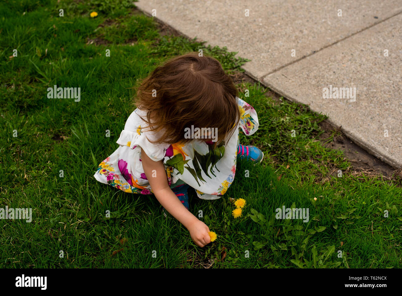 A young child picks purple flowers outside on a spring day. Stock Photo