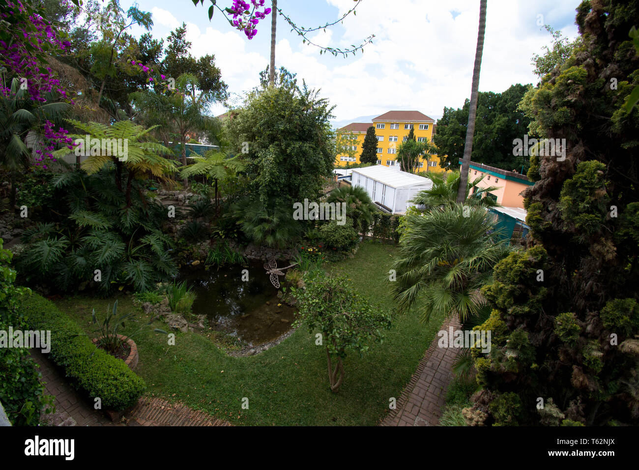Botanic gardens in Gibraltar Stock Photo - Alamy