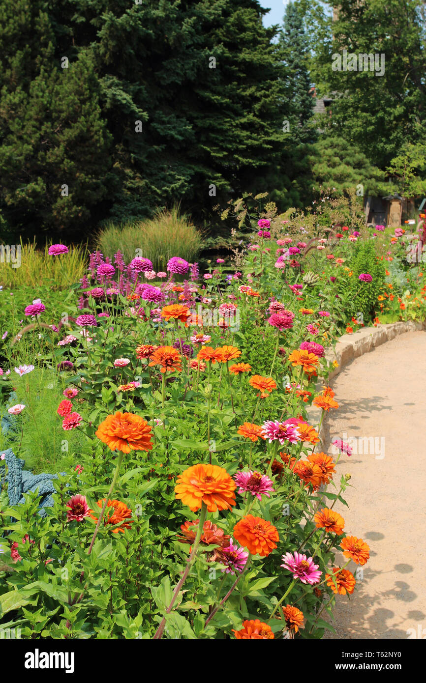 A flower bed filled with orange and pink zinnias alongside a walking path in Colorado, USA Stock Photo