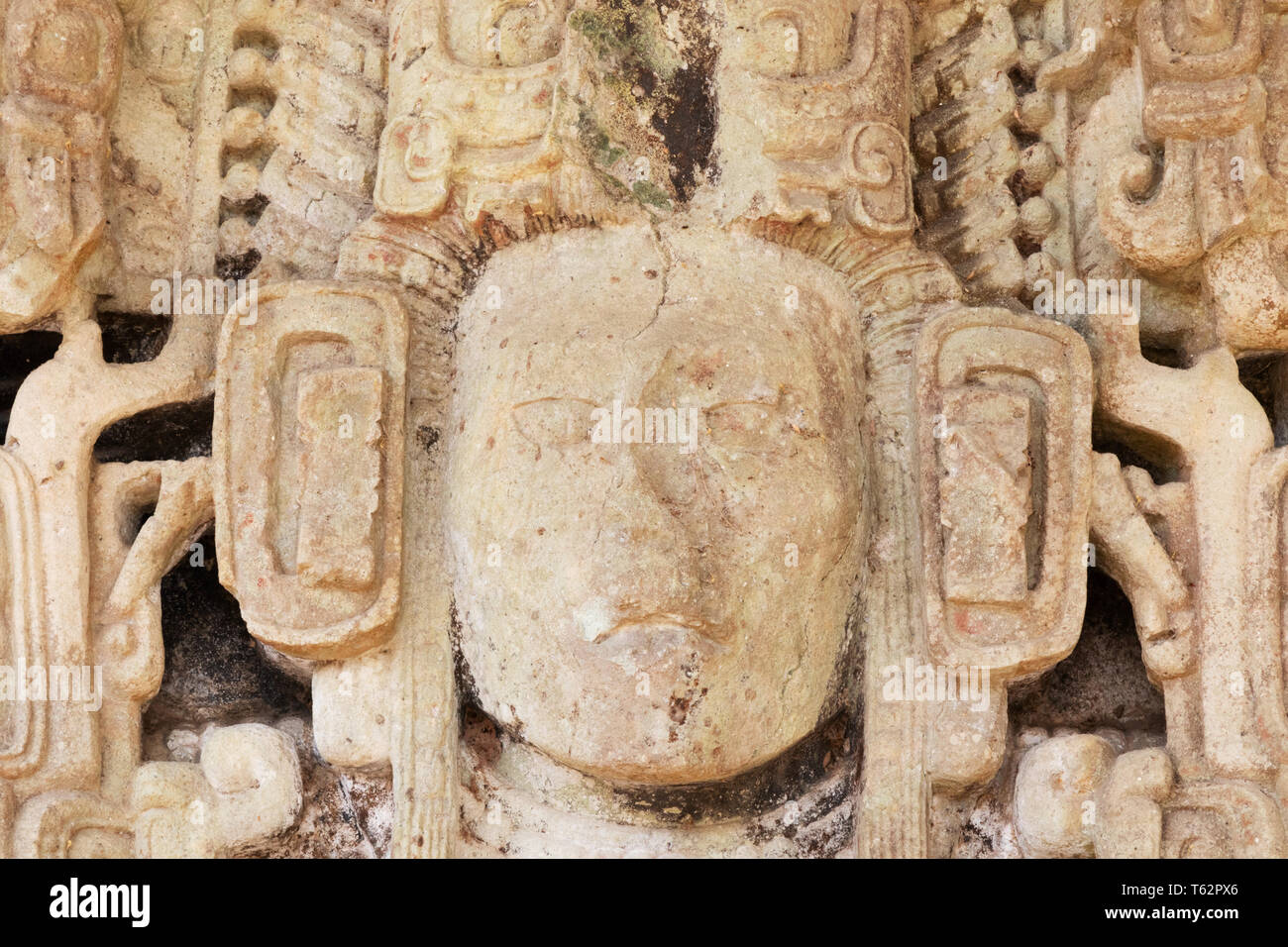 Maya ruins - Copan Honduras Central America. Detail of Stela N showing the ruler K'ak' Yipyaj Chan K'awiil, aka Smoke Shell or Smoke Squirrel; AD 761 Stock Photo