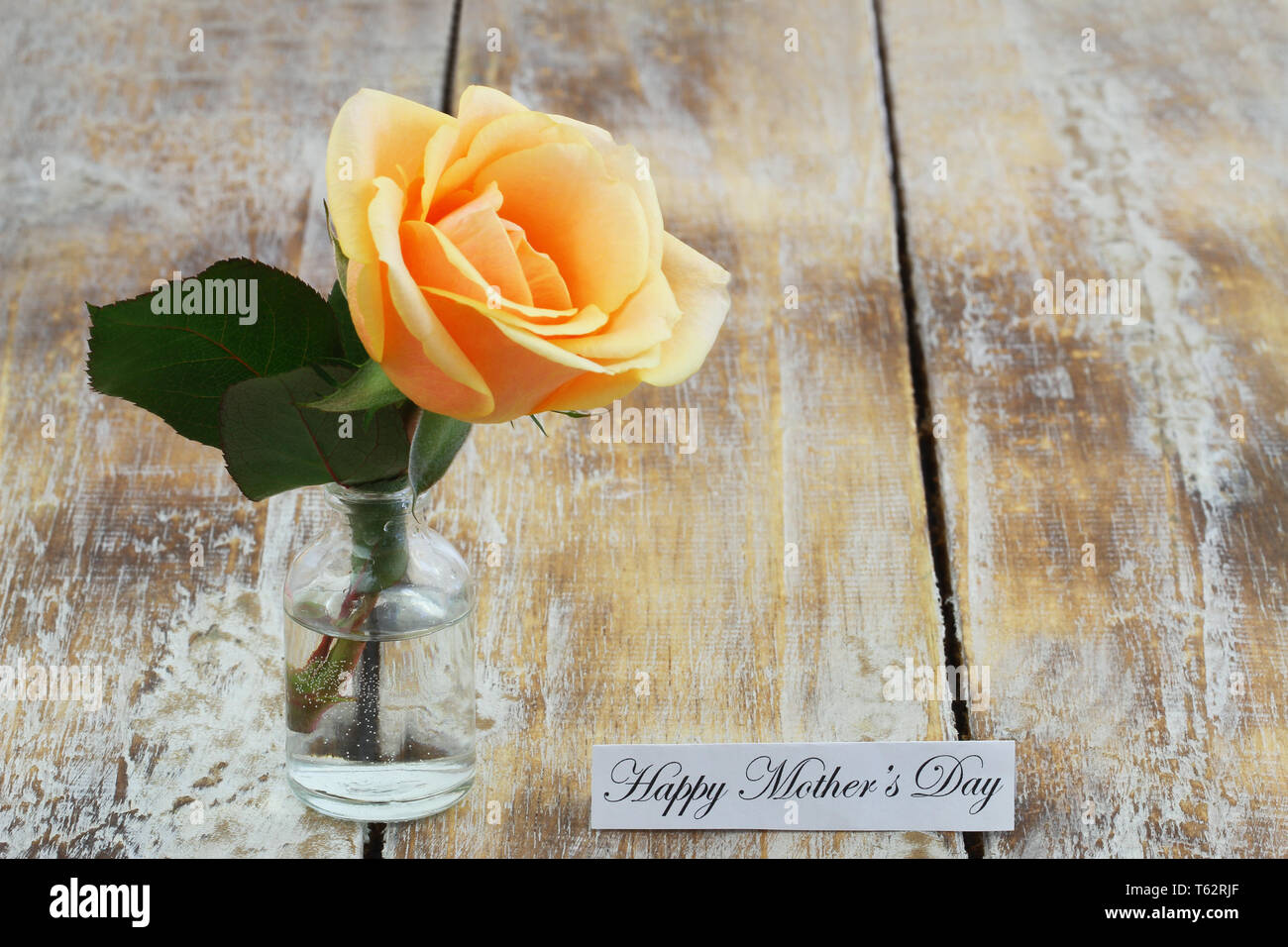 Happy Mothers day card with cream colour rose in transparent glass bottle on rustic wooden surface Stock Photo