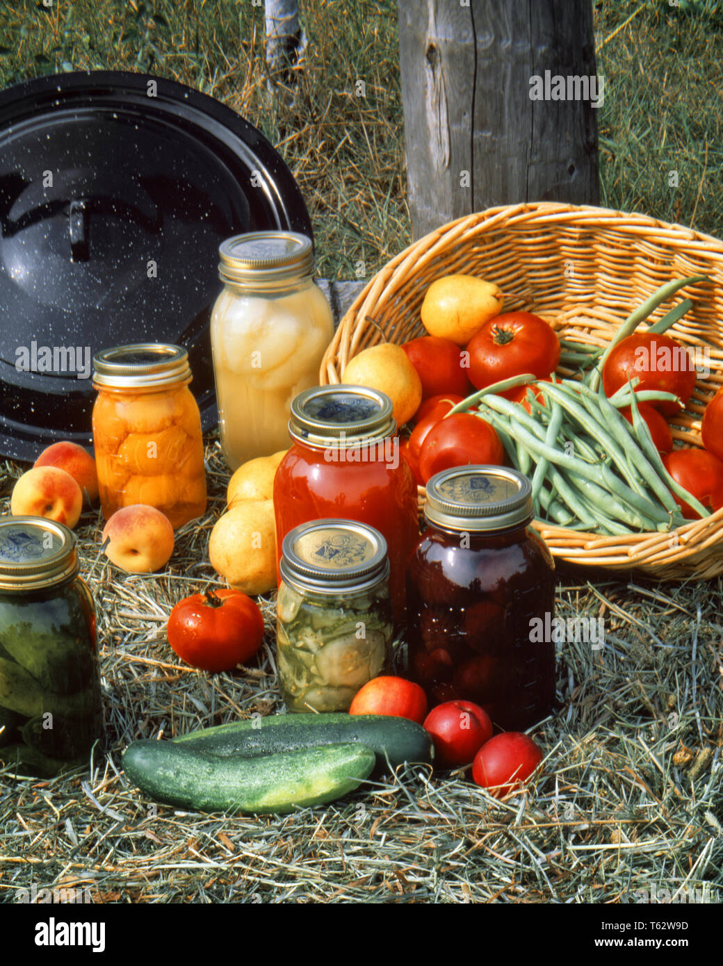 1970s CANNED PRESERVED FRUITS AND VEGETABLES IN GLASS JARS PEACHES PEARS PLUMS TOMATOES STRING BEANS BEATS CUCUMBERS - kf17903 PHT001 HARS NATURAL SIMPLE CONCEPTUAL STILL LIFE BOILING BOTTLING TOMATOES CUCUMBERS STRING BEANS FRUITS GLASS JARS HOMEMADE JARS PLUMS PRESERVING BASIC BEETS OLD FASHIONED PRESERVED Stock Photo