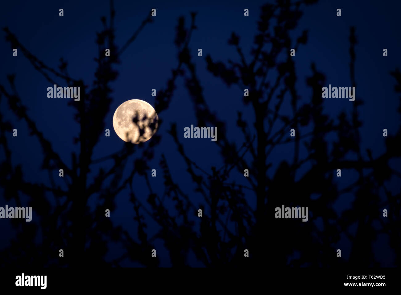 Deep purple sky hi-res stock photography and images - Alamy