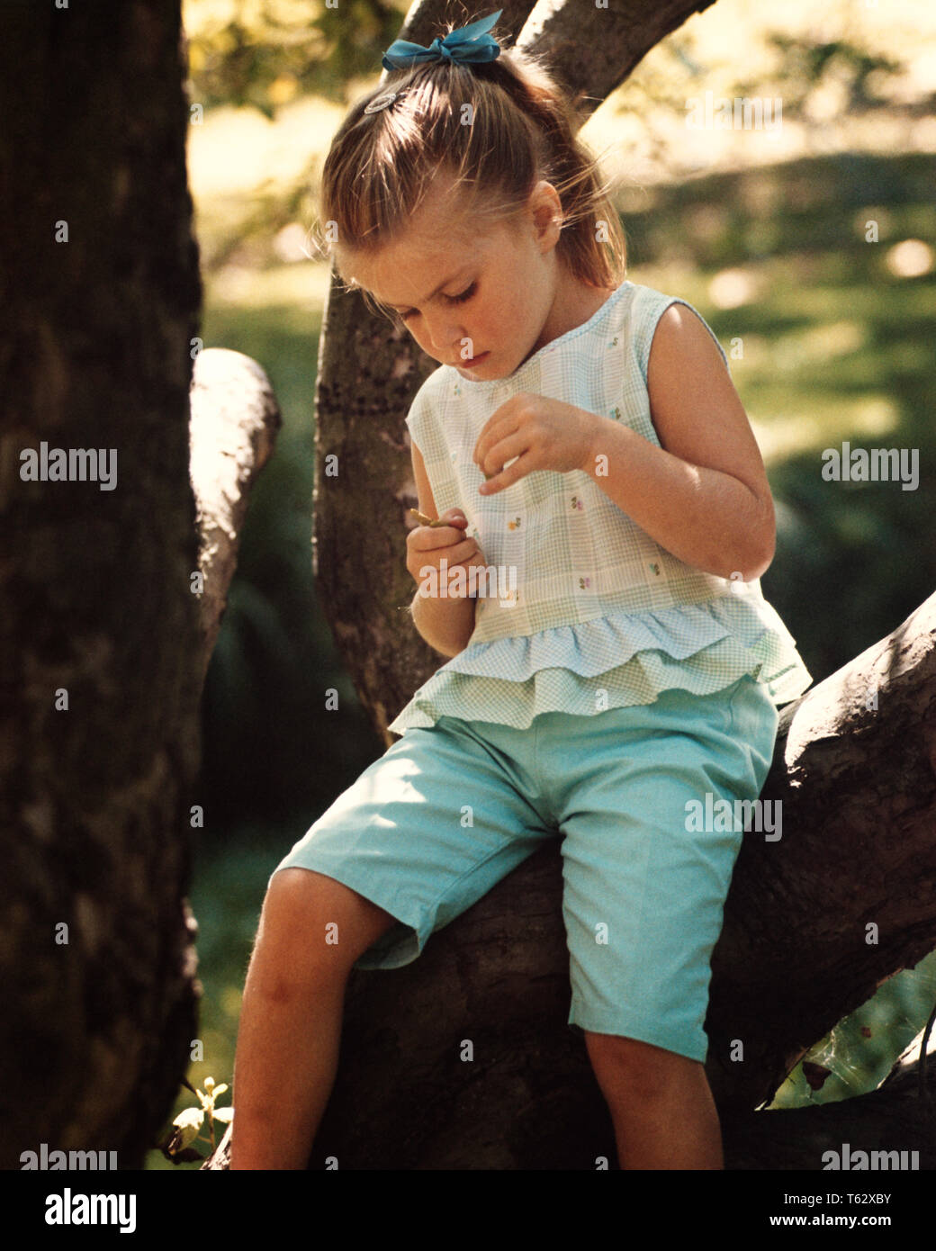 1960s GIRL WEARING BLUE BERMUDA SHORTS RUFFLED TOP SITTING ON TREE TRUNK HOLDING LEAF SPRING SUMMER DAY kj3416 FTZ001 HARS SPIRITUALITY SHADE DISCOVERY LEAF REFLECTIVE THINK NAIVE PONYTAIL REFLECTING ...