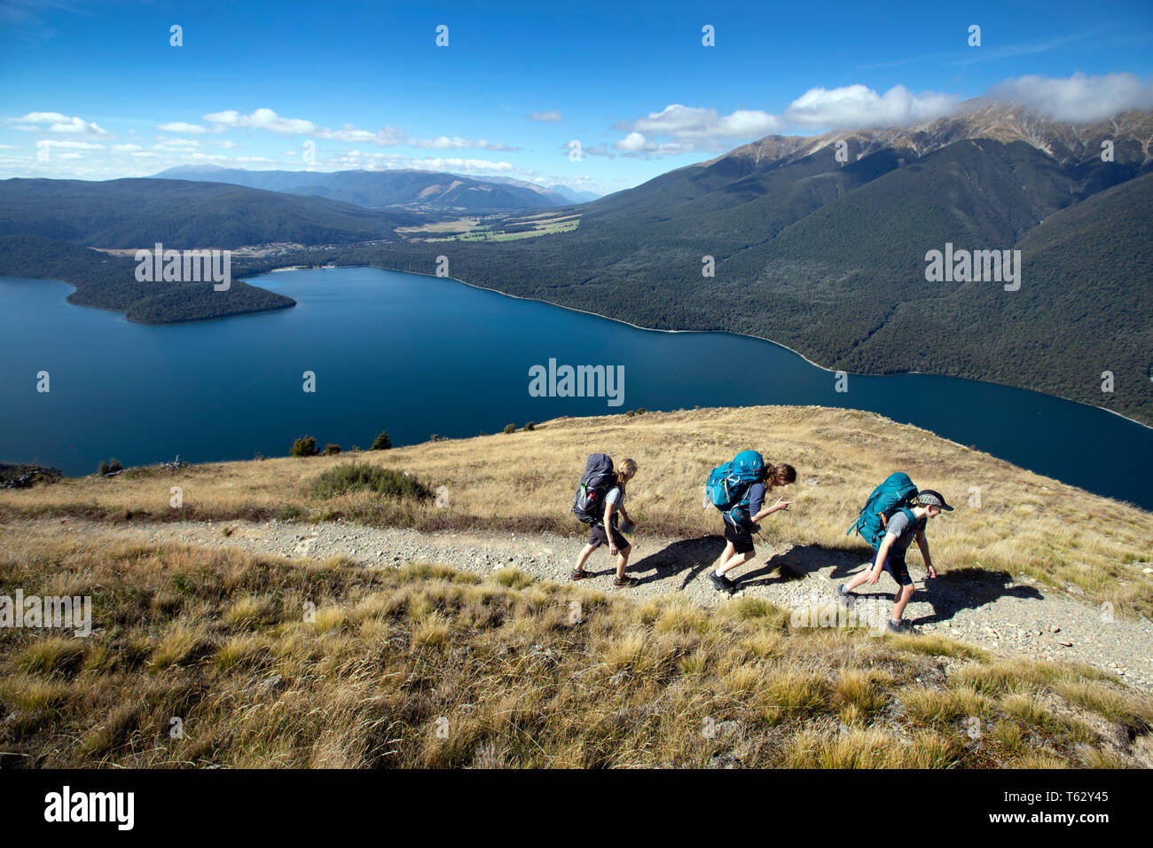 Picture by Tim Cuff - 23/24 March 2018 - Tramping on Mount Roberts, Nelson, New Zealand Stock Photo