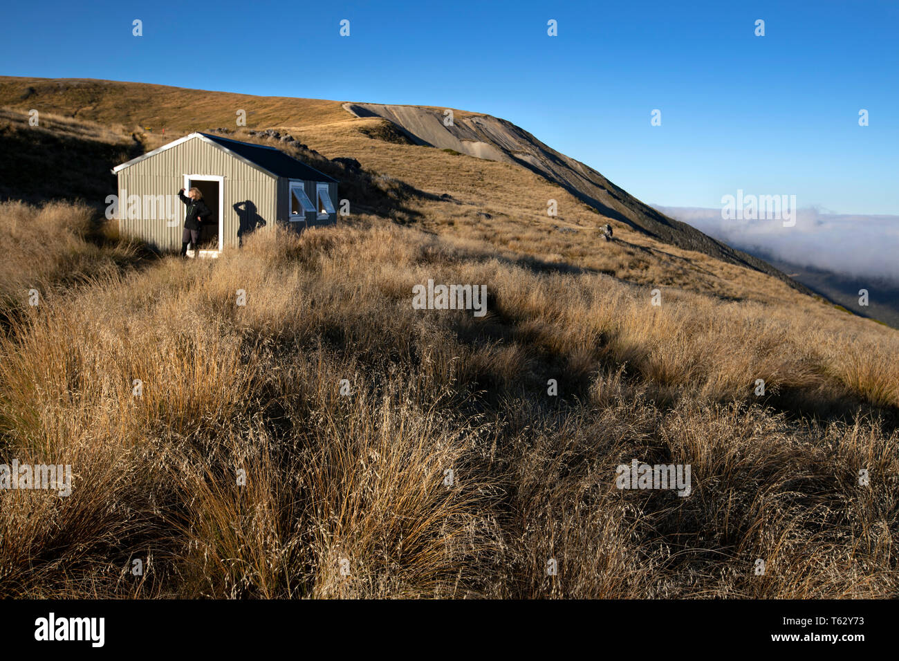 Picture by Tim Cuff - 23/24 March 2018 - Tramping on Mount Roberts, Nelson, New Zealand Stock Photo