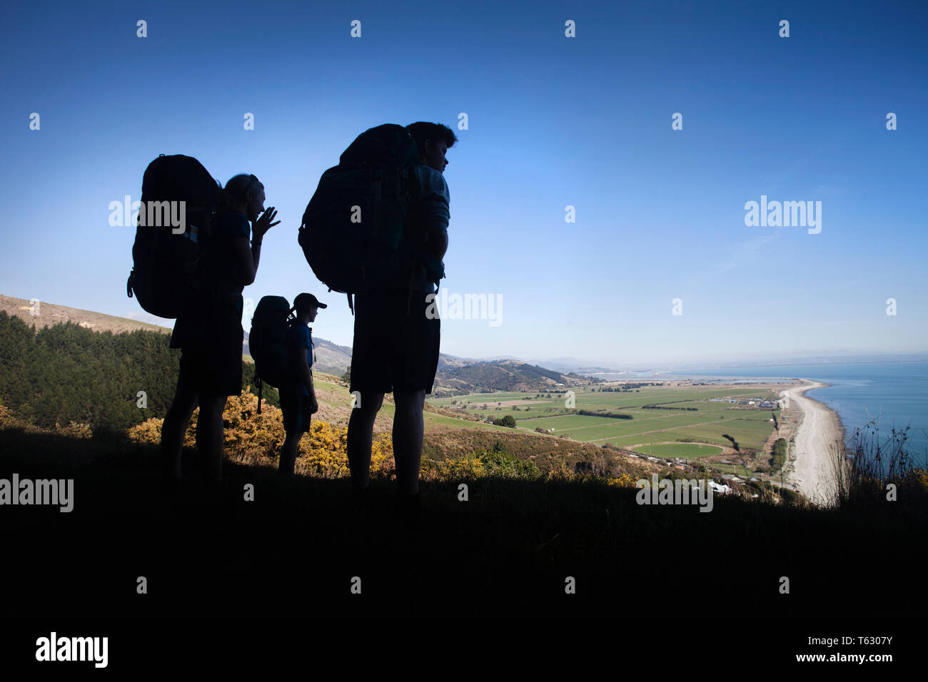Hikers above the Glen, Nelson, New Zealand Stock Photo