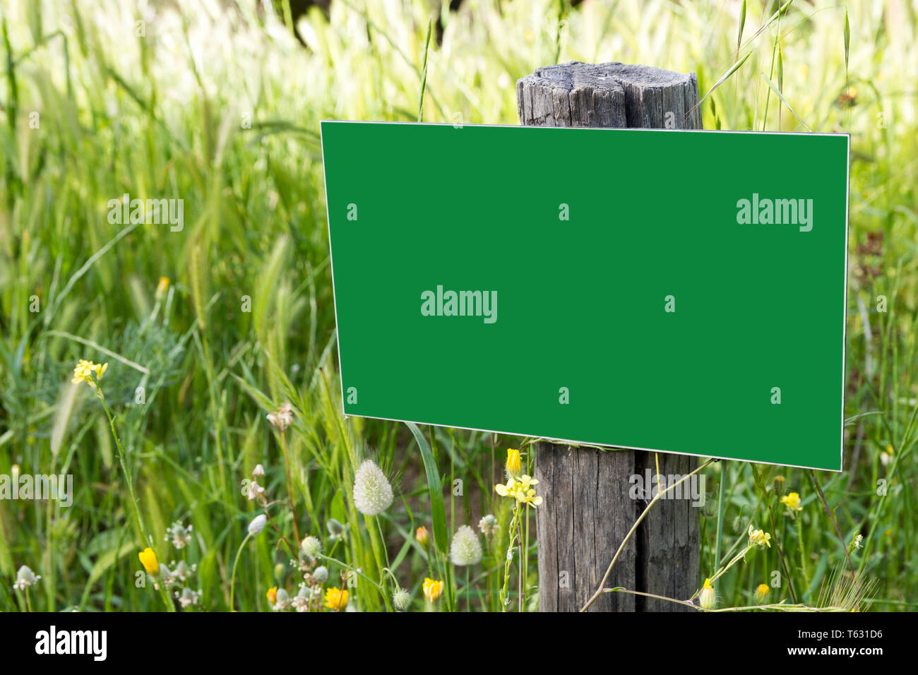 empty wooden billboard in the forest Stock Photo - Alamy