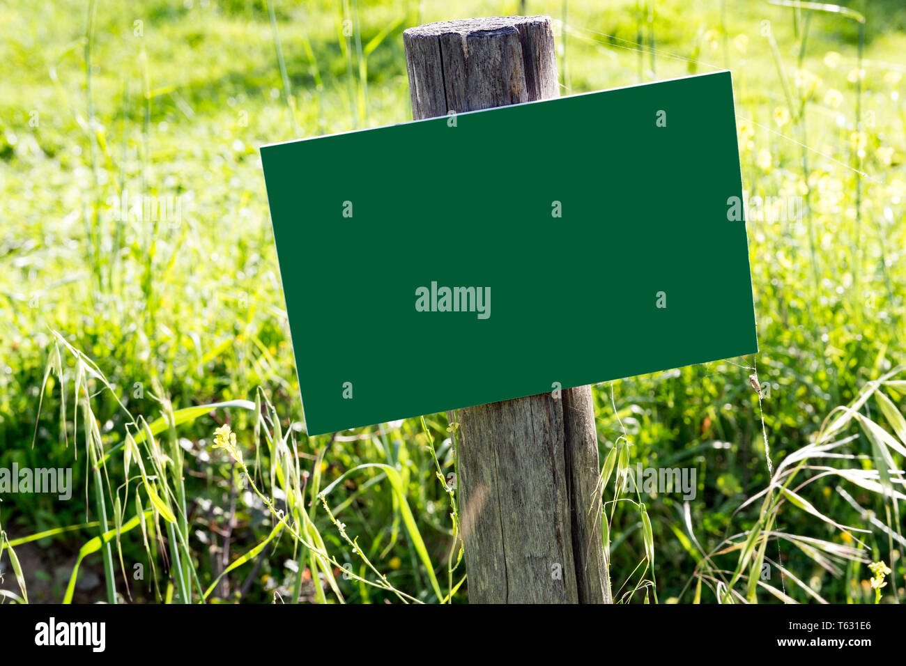 empty wooden billboard in the forest Stock Photo - Alamy